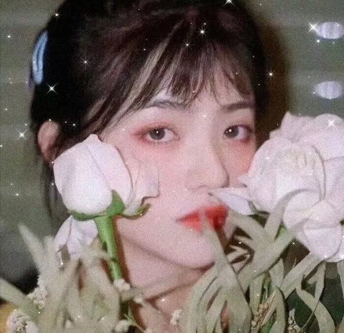 尸战朝鲜:雅信传