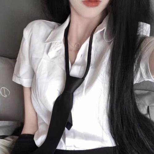 科搜研之女第24季